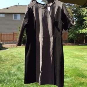 NWT Loft Dress